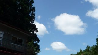 chiiの夏帰省①