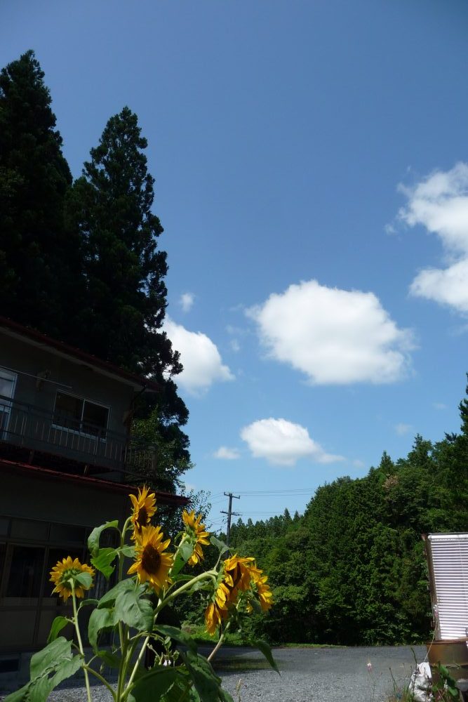 chiiの夏帰省①